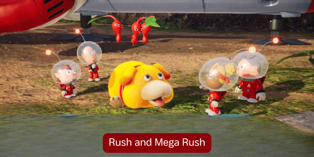 Rush and Mega Rush